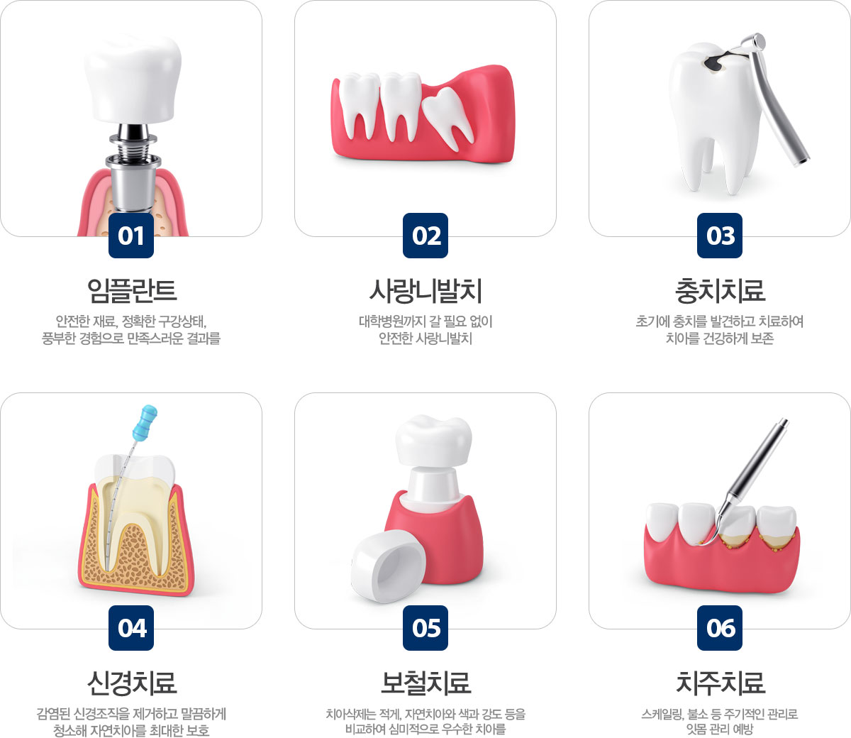 진료과목 안내